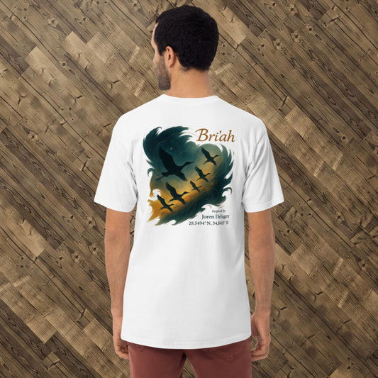 Flappy Skies - Bri’ah Men’s premium heavyweight tee